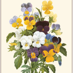 Meet your Posher, Becky